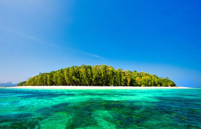 เกาะไม้ไผ่